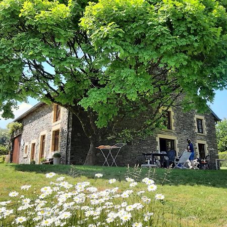 La Maison Des Marguerites Vresse-sur-Semois Exteriér fotografie