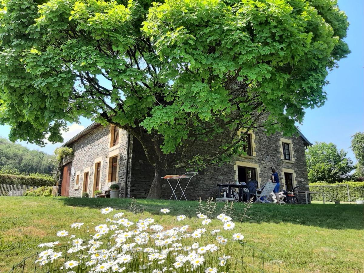 La Maison Des Marguerites Vresse-sur-Semois Exteriér fotografie