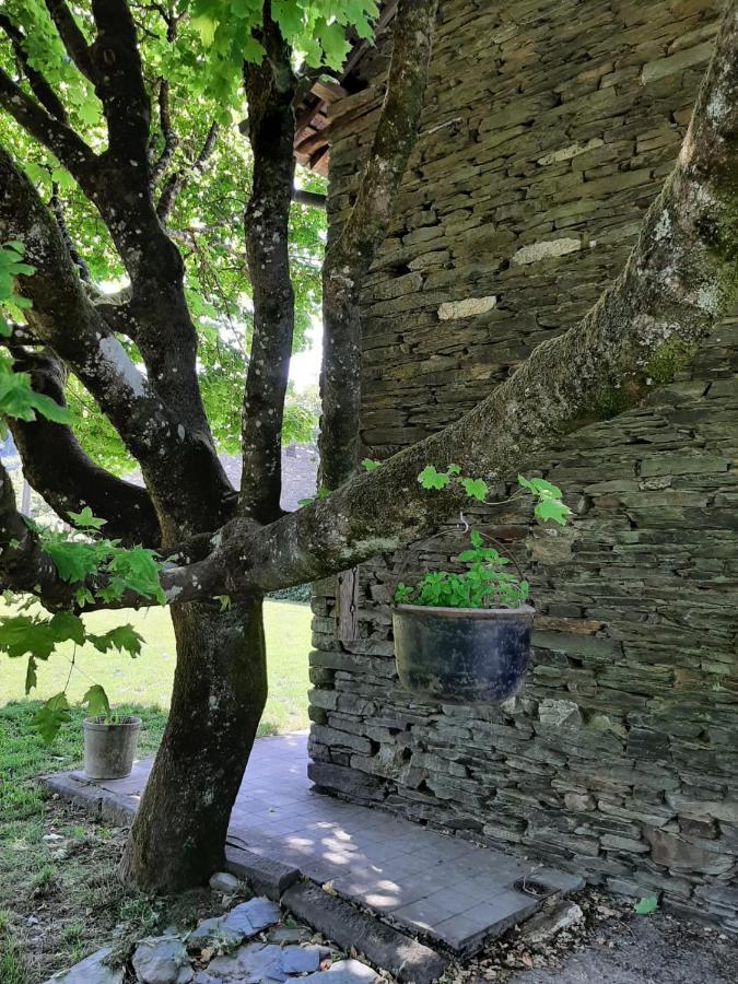 La Maison Des Marguerites Vresse-sur-Semois Exteriér fotografie