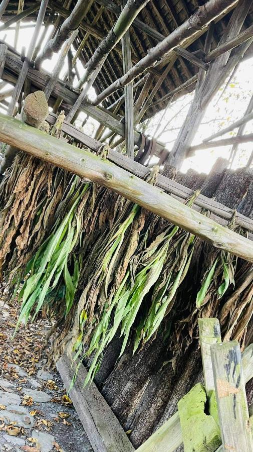 La Maison Des Marguerites Vresse-sur-Semois Exteriér fotografie