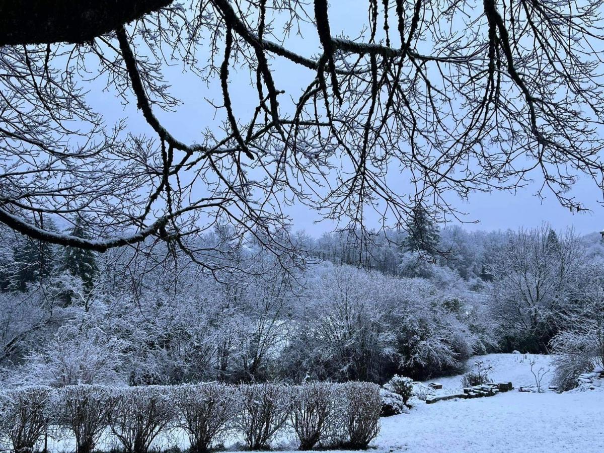 La Maison Des Marguerites Vresse-sur-Semois Exteriér fotografie